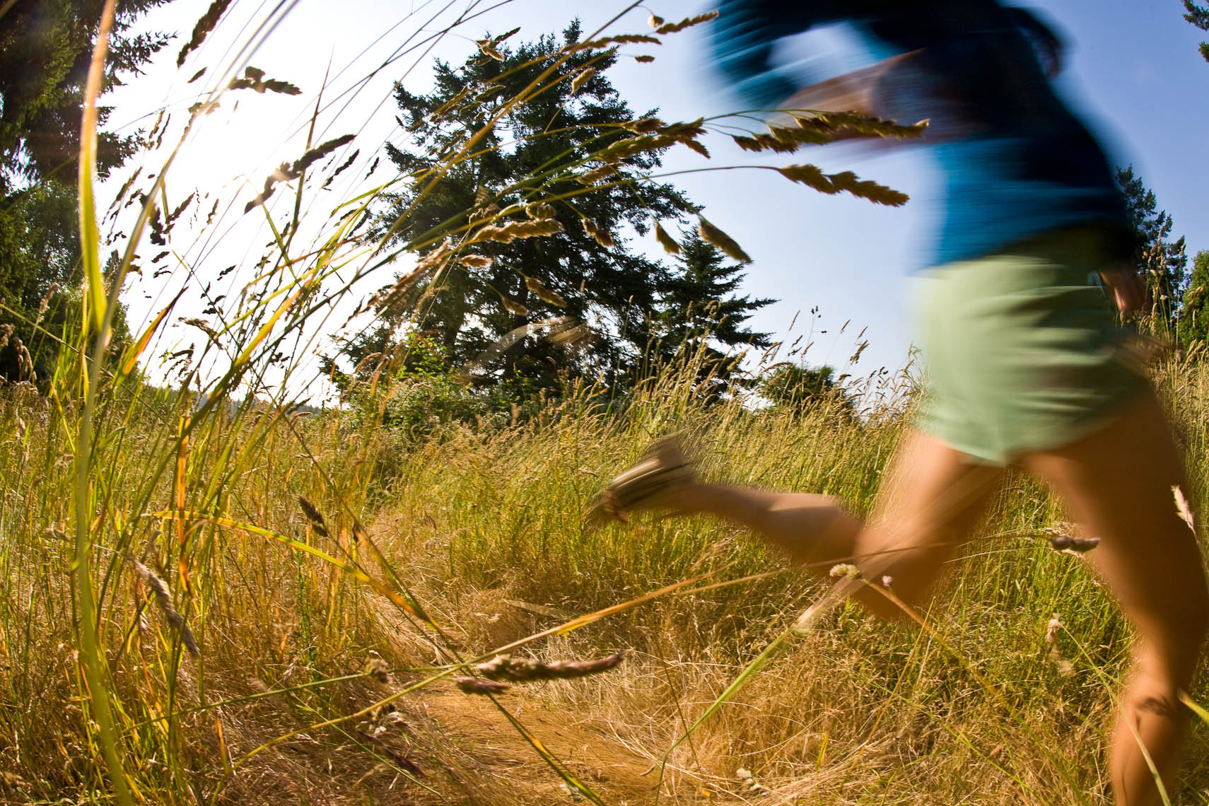 019-_MG_8806-4run