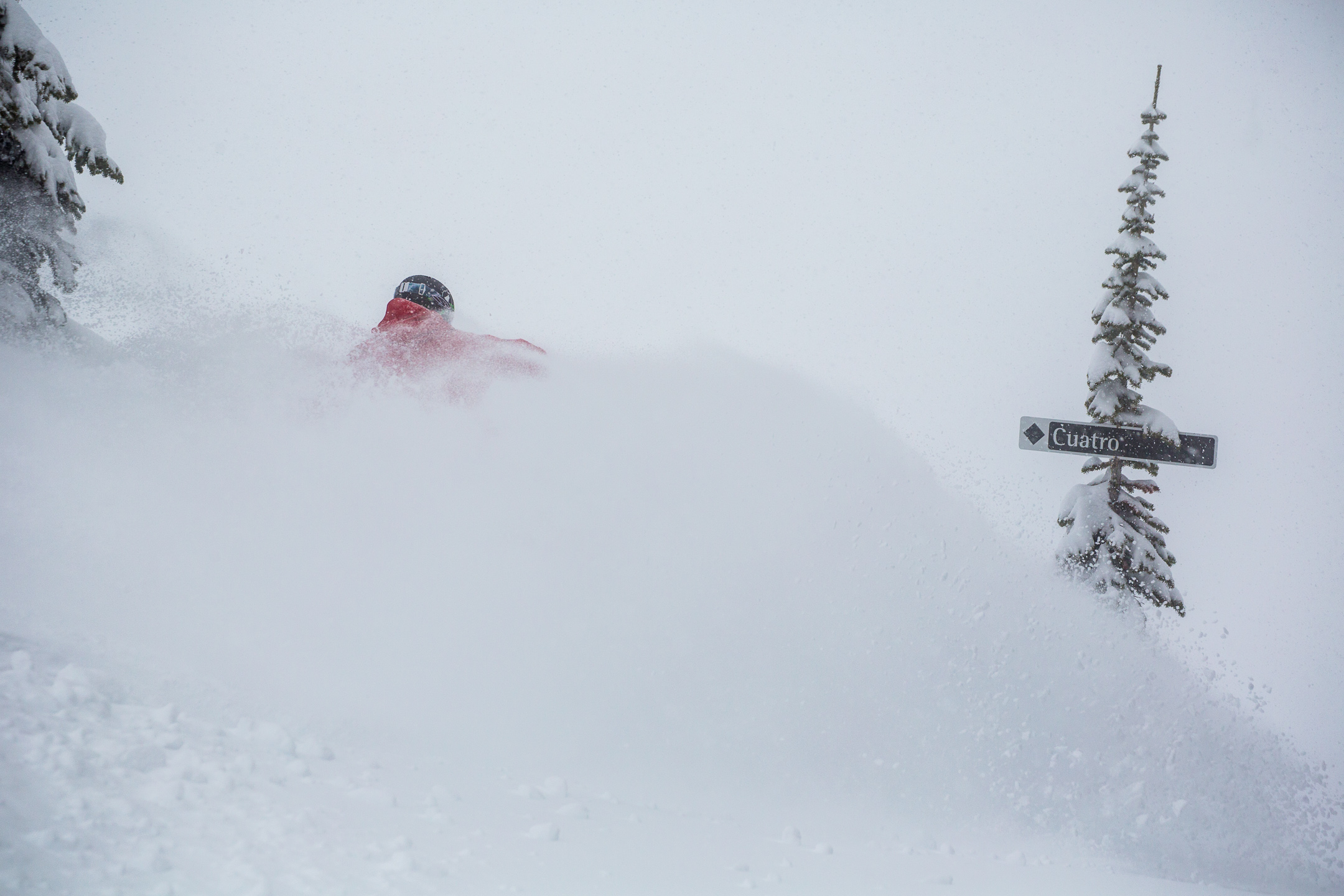 creary_dbc_feb2019-4