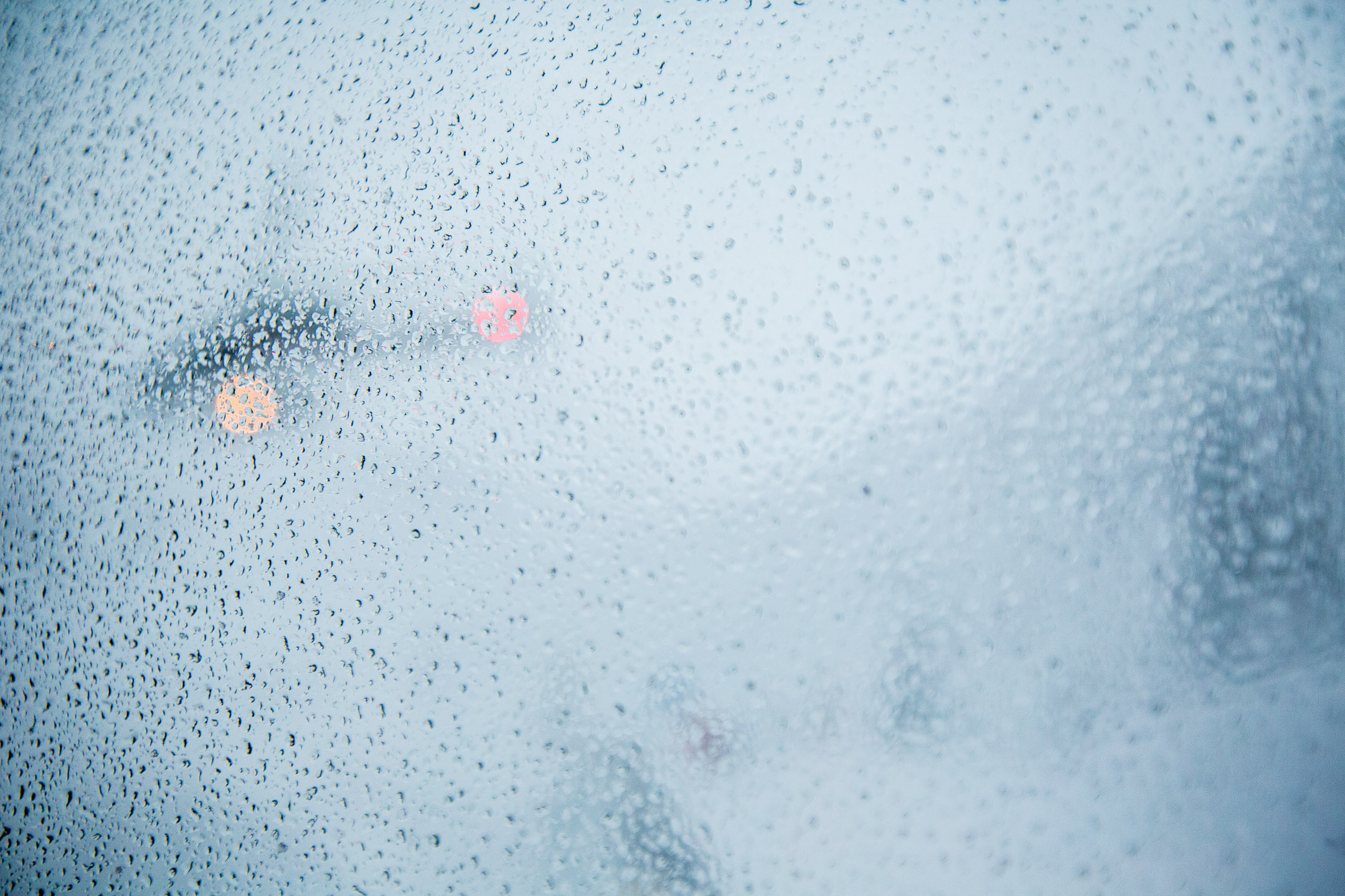 creary_durrand_feb2019-27