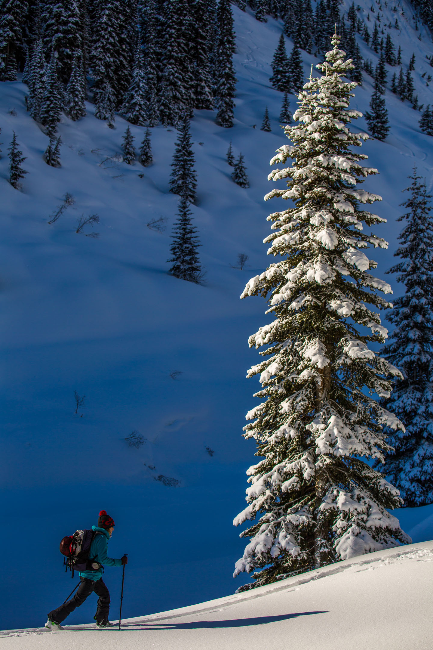 creary_ryan_rogers-pass_feb2019-4
