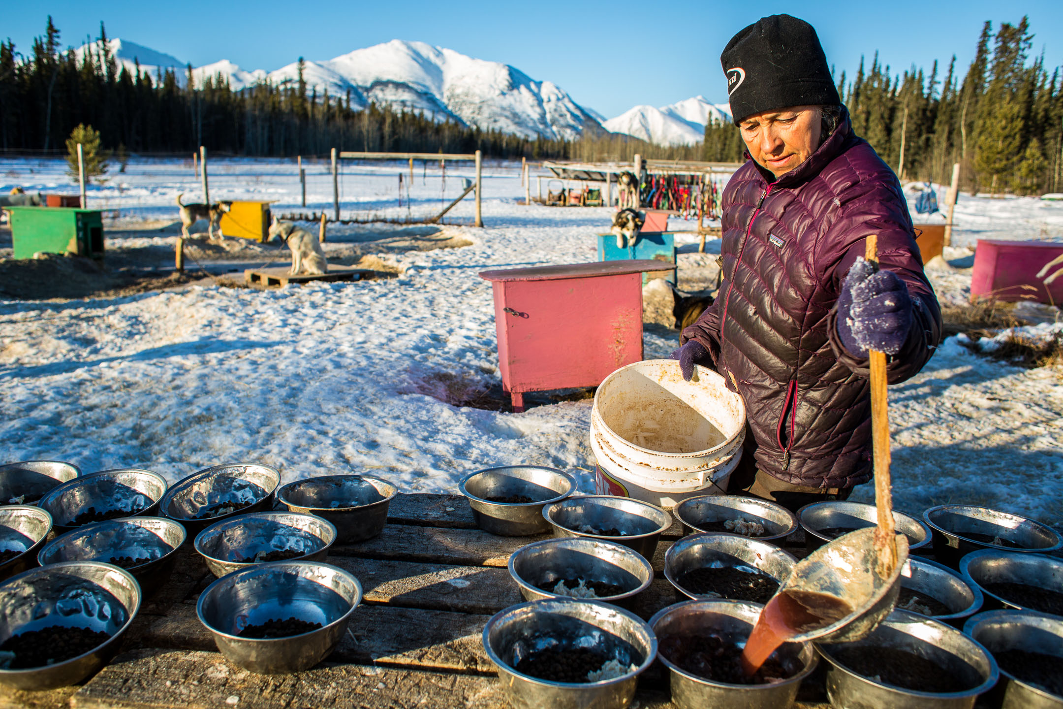 creary_ryan_yukon_feb2019-25
