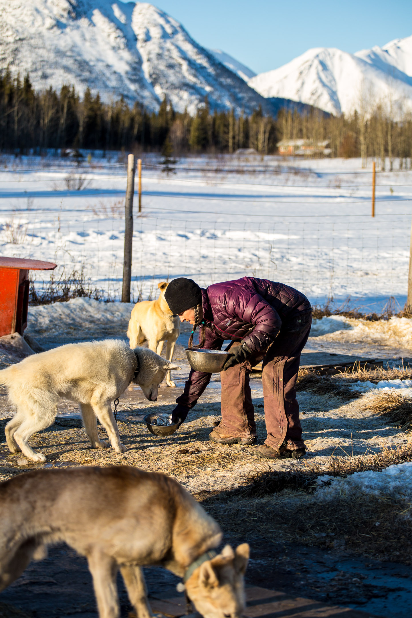 creary_ryan_yukon_feb2019-26