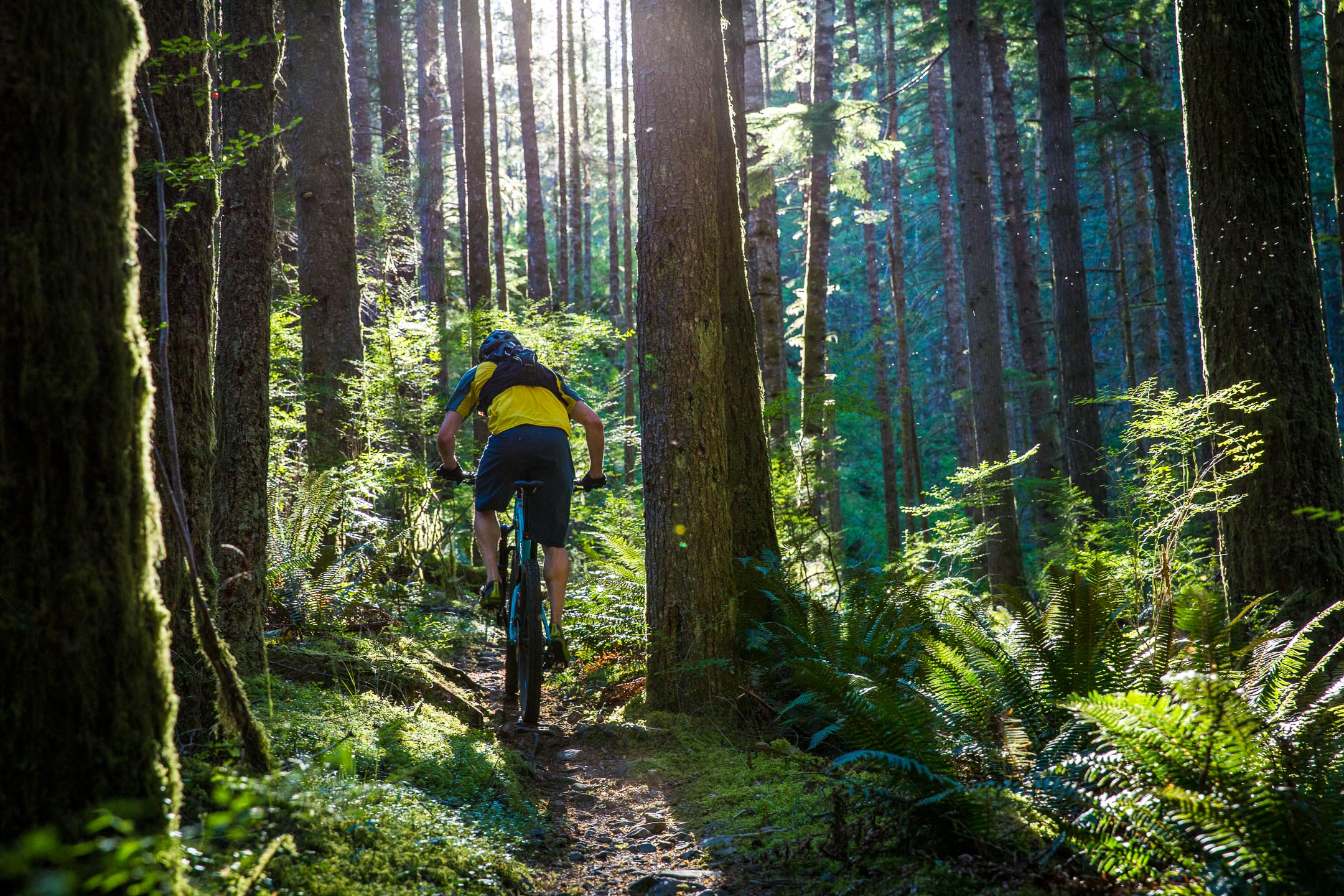 creary_singletrack_feb2019-24