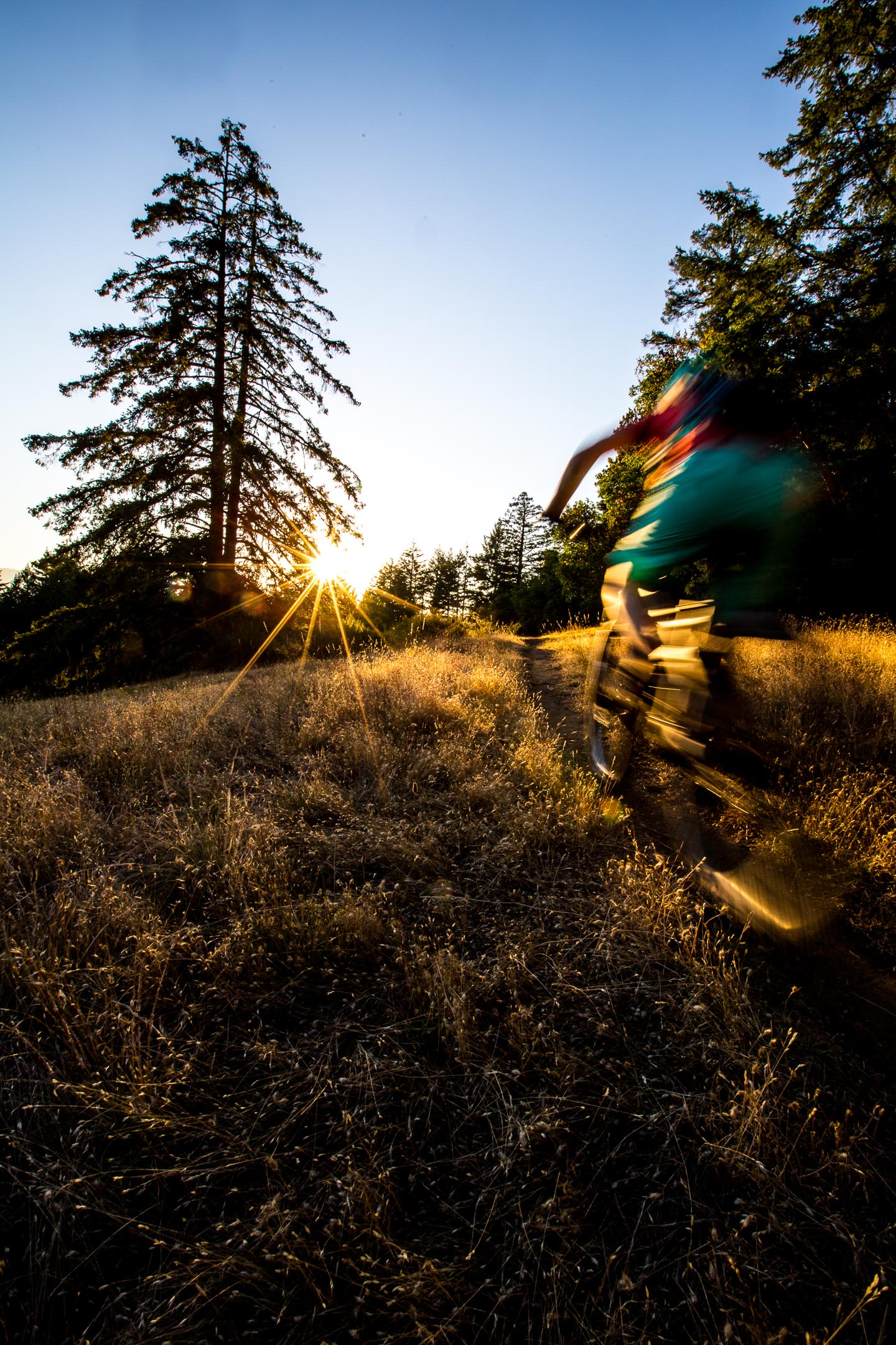 creary_singletrack_feb2019-4
