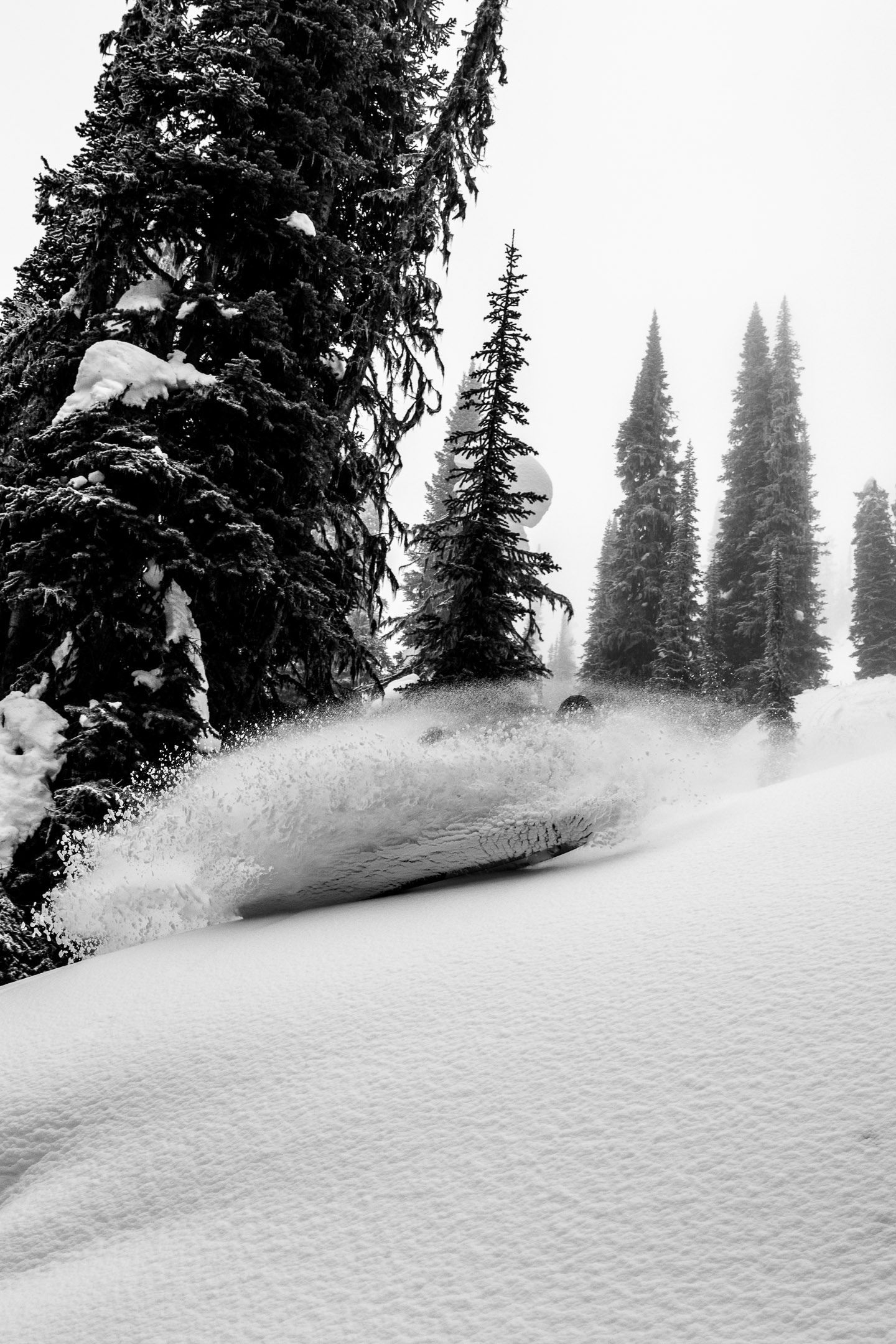 creary_skican_feb2019-6