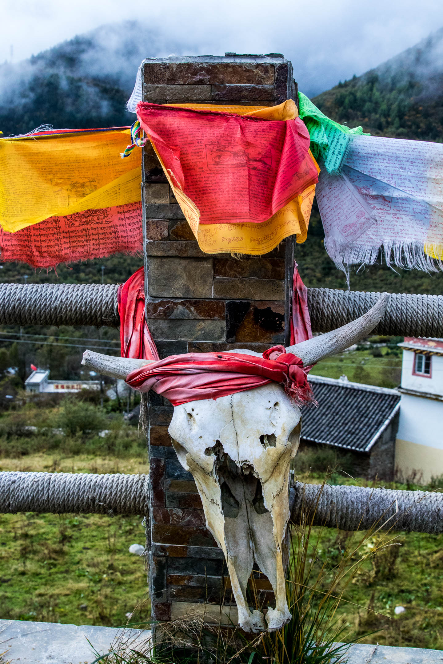 creary_tibet_feb2019-12