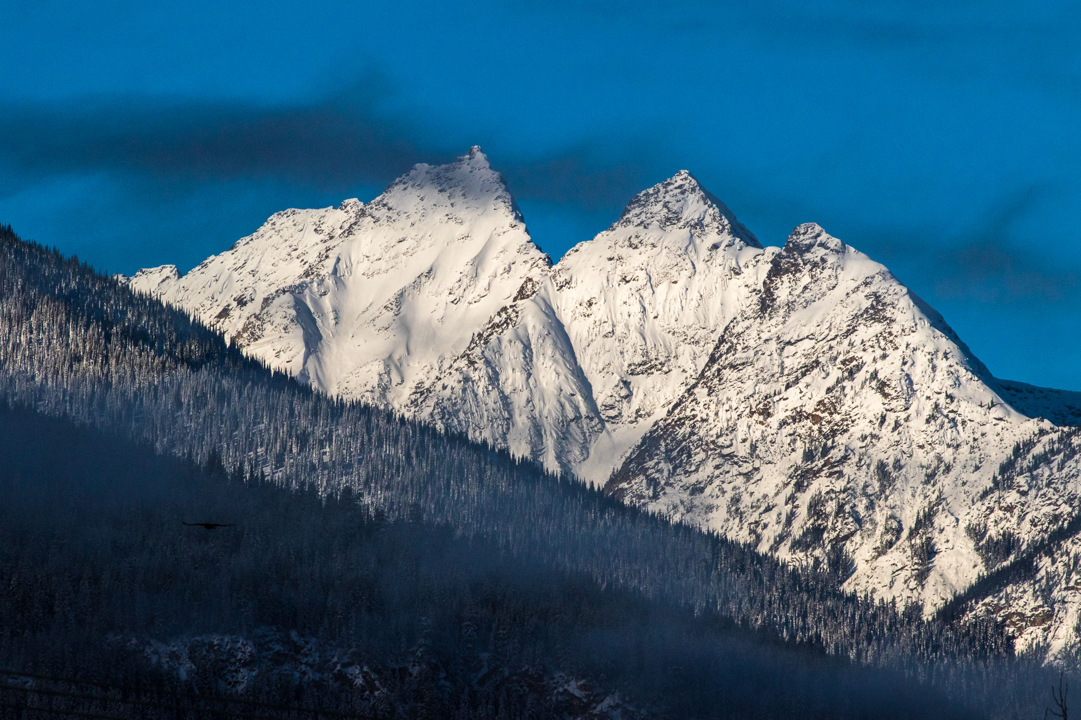 creary_valemount_feb2019-1
